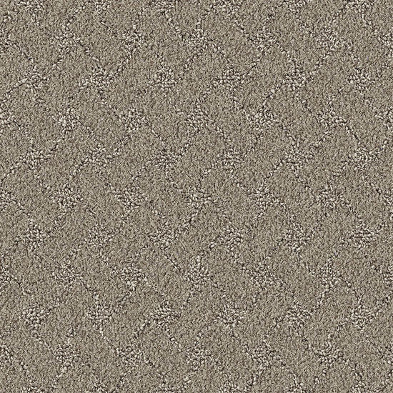 Broadloom Carpet Snowscape Partridge Brown 12' (Sold in Sqyd)