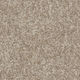 Tapis en rouleau Stratford SDN Chimère 12' (vendu en vg²)