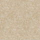 Tapis en rouleau Stratford SDN Nuage du matin 12' (vendu en vg²)