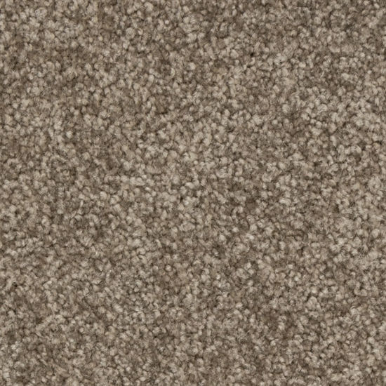 Broadloom Carpet Stratford SDN Velvety Bistre 12' (Sold in Sqyd)