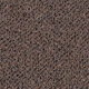 Broadloom Carpet Supplement II 20 Omaha Brown 12' (Sold in Sqyd)