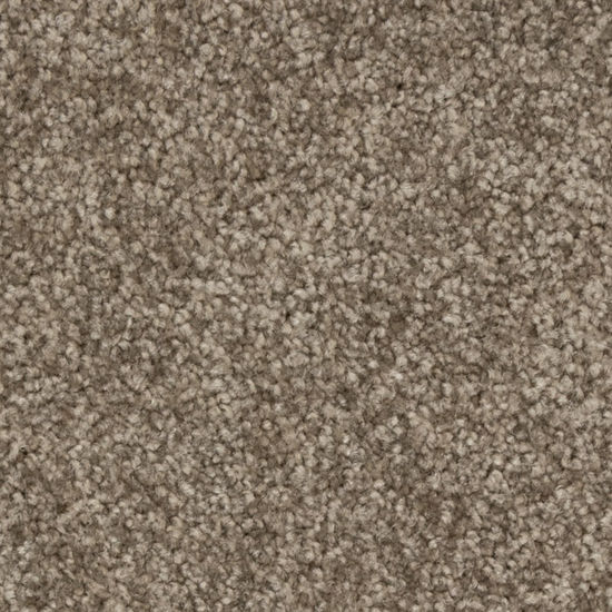 Broadloom Carpet Radcliffe Velvety Bistre 12' (Sold in Sqyd)