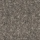 Broadloom Carpet Serene Ambiance Dragon Grey 12' (Sold in Sqyd)