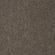 Broadloom Carpet Invasion IV 28 Arizona Sand 12' (Sold in Sqyd)