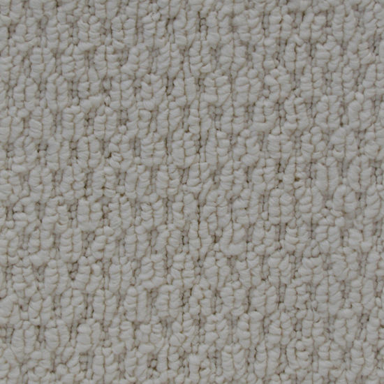 Broadloom Carpet Cupido II Tender Ivory 12' (Sold in Sqyd)