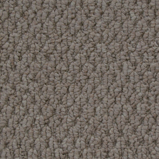 Broadloom Carpet Cupido II Tender Taupe 12' (Sold in Sqyd)