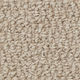 Broadloom Carpet Papilio II Tender Taupe 12' (Sold in Sqyd)