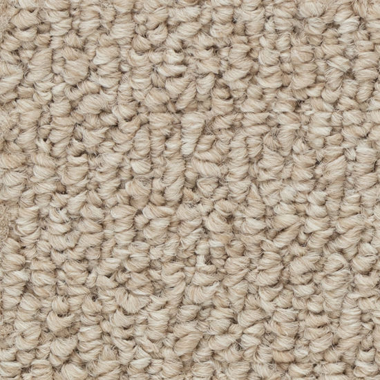Broadloom Carpet Papilio II Tender Taupe 12' (Sold in Sqyd)