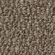 Tapis en rouleau Papilio II Brun bistre 12' (vendu en vg²)