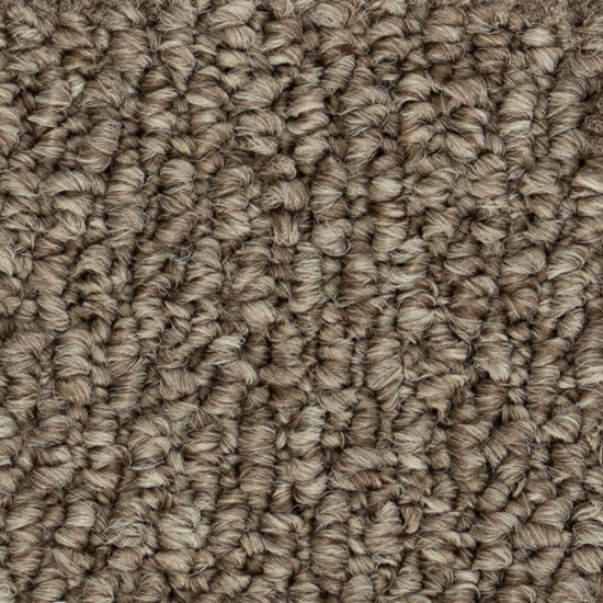 Broadloom Carpet Papilio II Bistre Brown 12' (Sold in Sqyd)