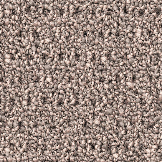 Broadloom Carpet Polka Dot Silex Grey 12' (Sold in Sqyd)
