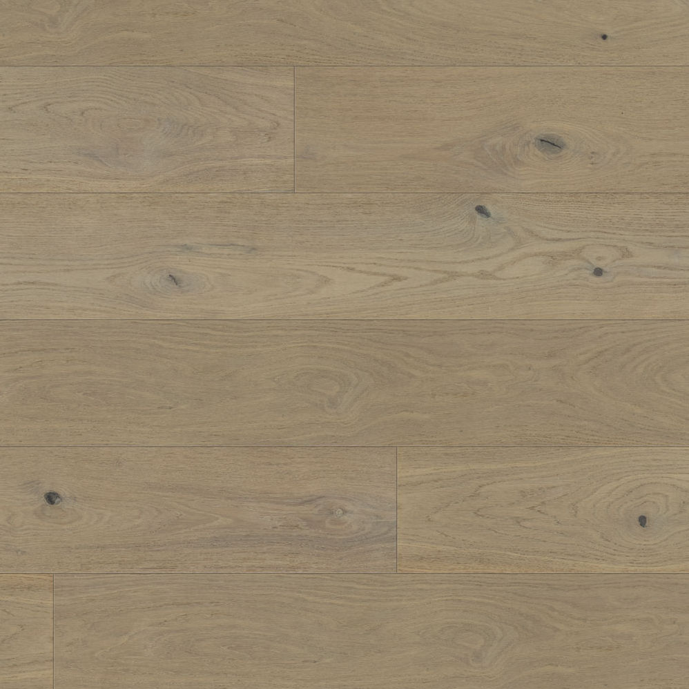 3f8dced1-03e6-11ee-be58-