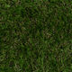 Outdoor Rug Hamptons Green 12'
