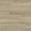 Beaulieu (2282-TM) color