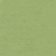 Feuille de linoléum Linofloor xf² Veneto Apple Green 6-1/2' - 2.5 mm (vendu en vg²)