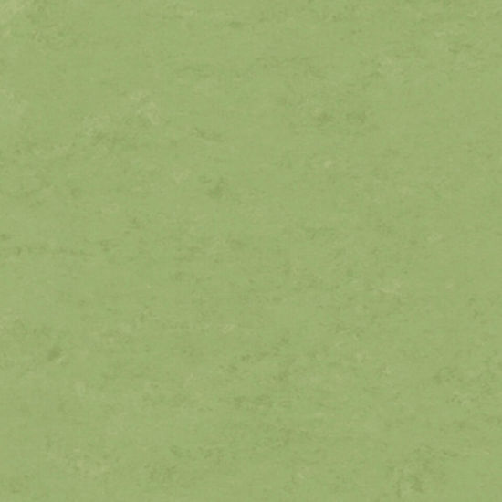 Feuille de linoléum Linofloor xf² Veneto Apple Green 6-1/2' - 2.5 mm (vendu en vg²)