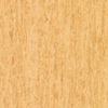 Tarkett (314013004) product