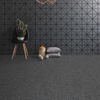 Beaulieu (TDIV-02) room_scene