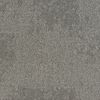 Richmond Carpet Tile (RCO0001ABST19) product