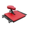 Raimondi (383COMBI) product
