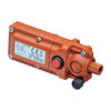 Raimondi (411SEA2) product