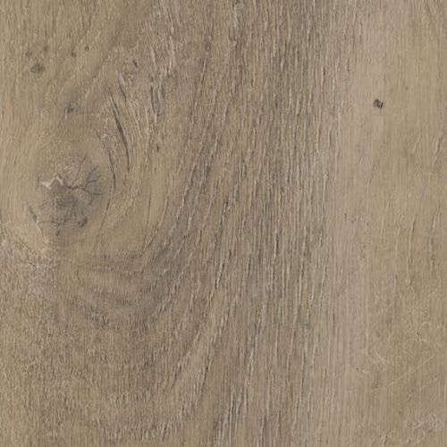 3f6d2c93-486d-11ee-9e8b-