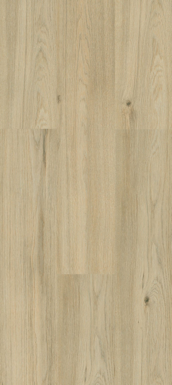 Laminate Flooring Privilege Artfloor Samyeli 7" x 48"