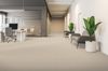Armstrong (5C811) room_scene