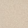 Armstrong (5C858) product