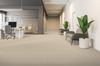 Armstrong (5C858) room_scene