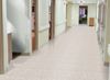 Armstrong (51901) room_scene