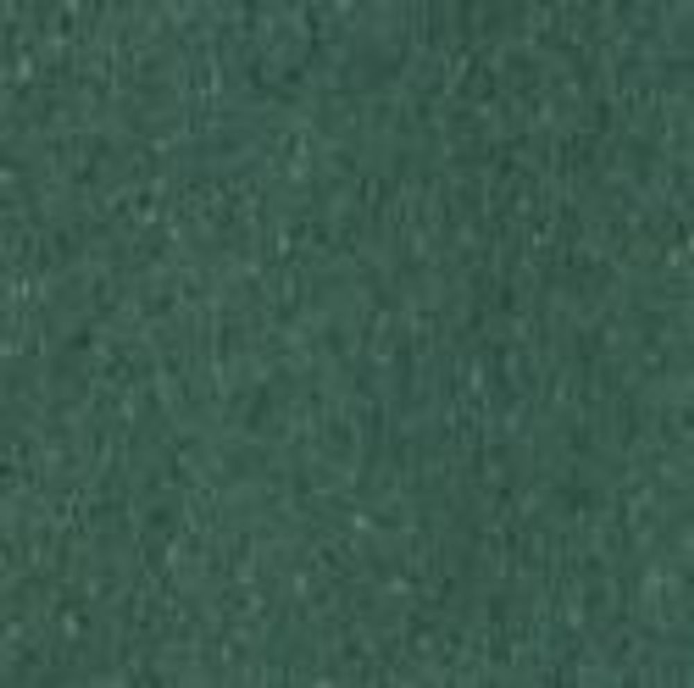 Armstrong Tuile de vinyle Standard Excelon Imperial Texture Basil Green