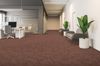 Armstrong (ST384) room_scene