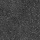 Planches de vinyle Terra #ST550 Nero Collé au sol 18" x 36"