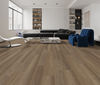 Power Dekor (6481) room_scene