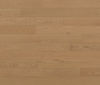 Lauzon Collection (STAIG473) color