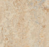 Forbo (184891) floor