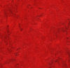 Forbo (184830) floor