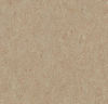 Forbo (243498) floor