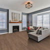 Beaulieu (8061) room_scene