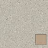 Tarkett (21010655-SQYD) product