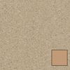 Tarkett (21010659-SQYD) product