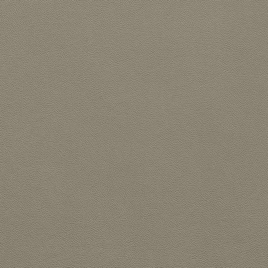 Solid Color - 1/8" Leather Solid #280 Shoreline - Tile 24" x 24"