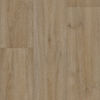 Tarkett (220987001) product