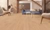 Fuzion (CLOA190SH) room_scene