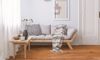 Fuzion (CSMP890CDW) room_scene