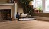 Fuzion (EP89002-2) room_scene