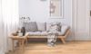 Fuzion (EP89018) room_scene