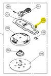 Rubi (55591) diagram