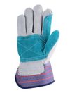 010392D3PC Palm